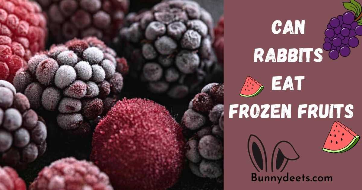 Can Rabbits Eat Frozen Fruit?