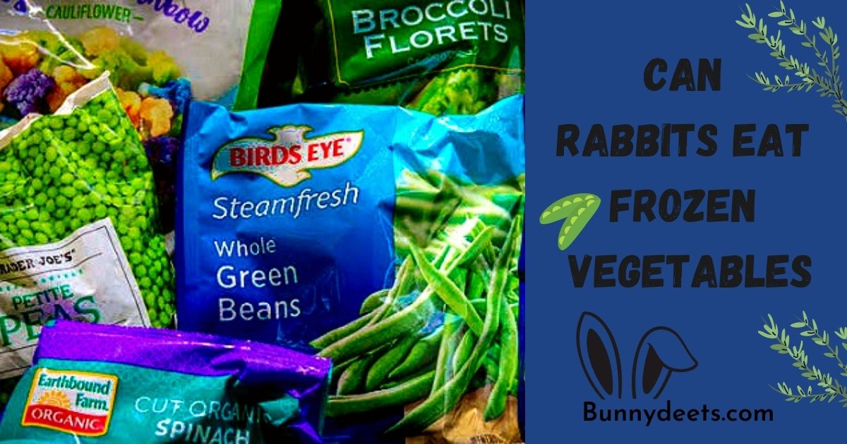 Can Rabbits Eat Frozen Vegetables?