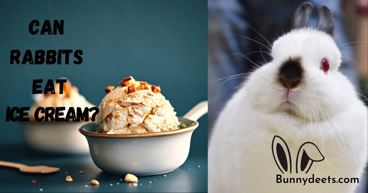 Can Rabbits Eat Ice Cream?