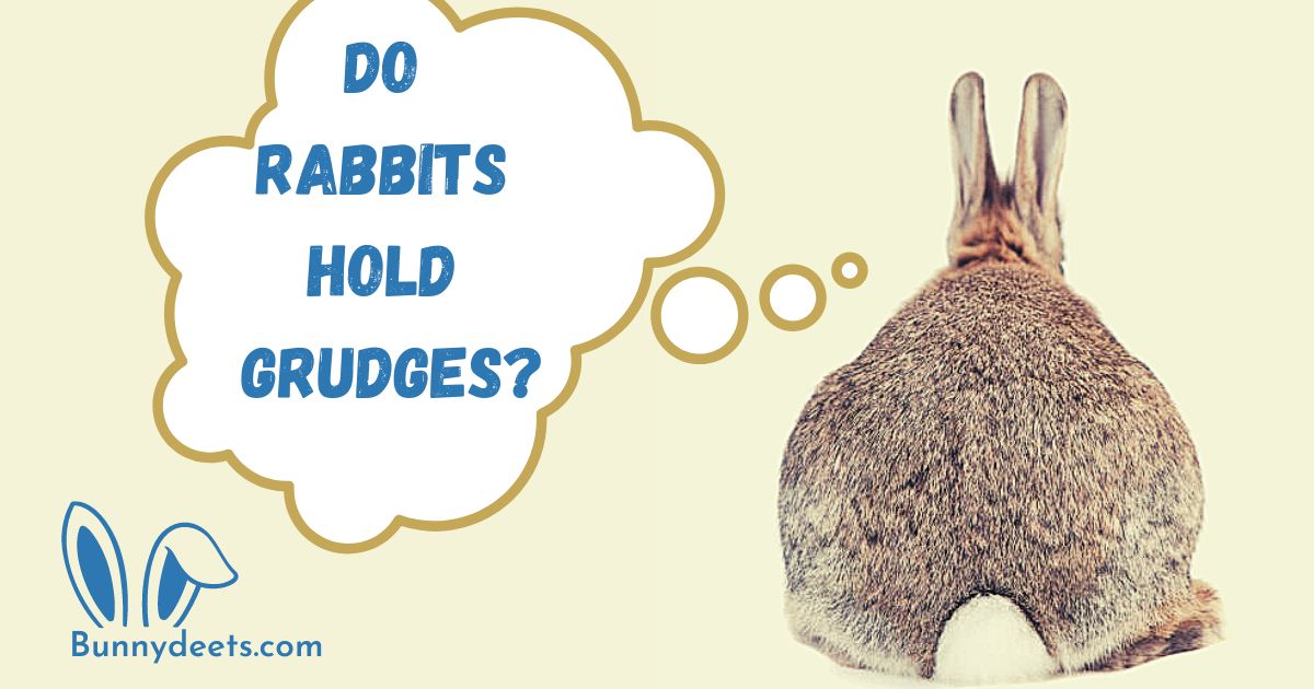 Do Rabbits Hold Grudges?